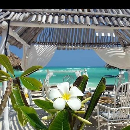 Luxury Simba House In Watamu ☆☆☆☆☆ Apartment ภายนอก รูปภาพ