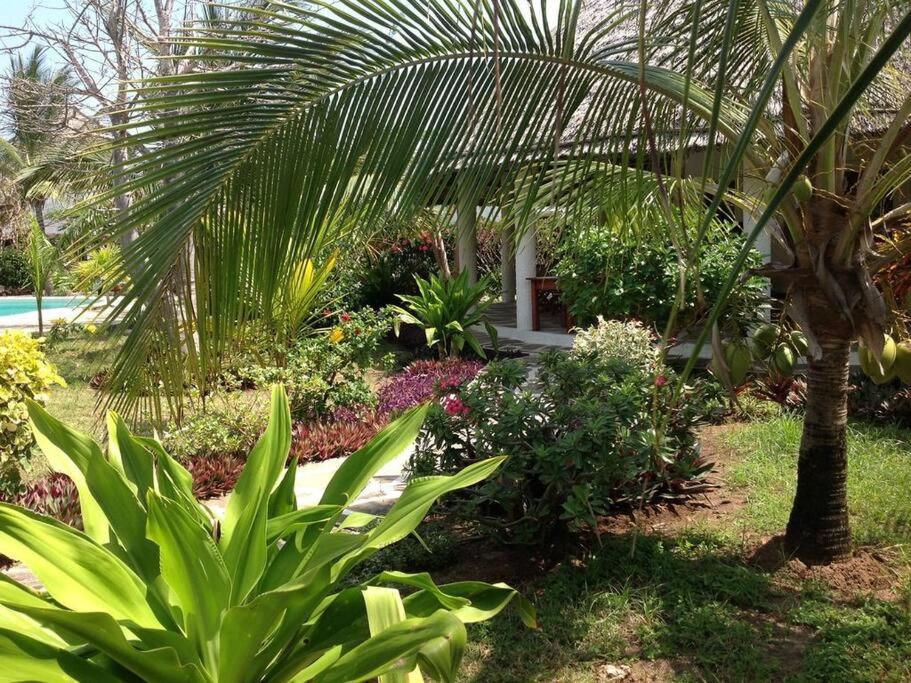 Luxury Simba House In Watamu ☆☆☆☆☆ Apartment ภายนอก รูปภาพ