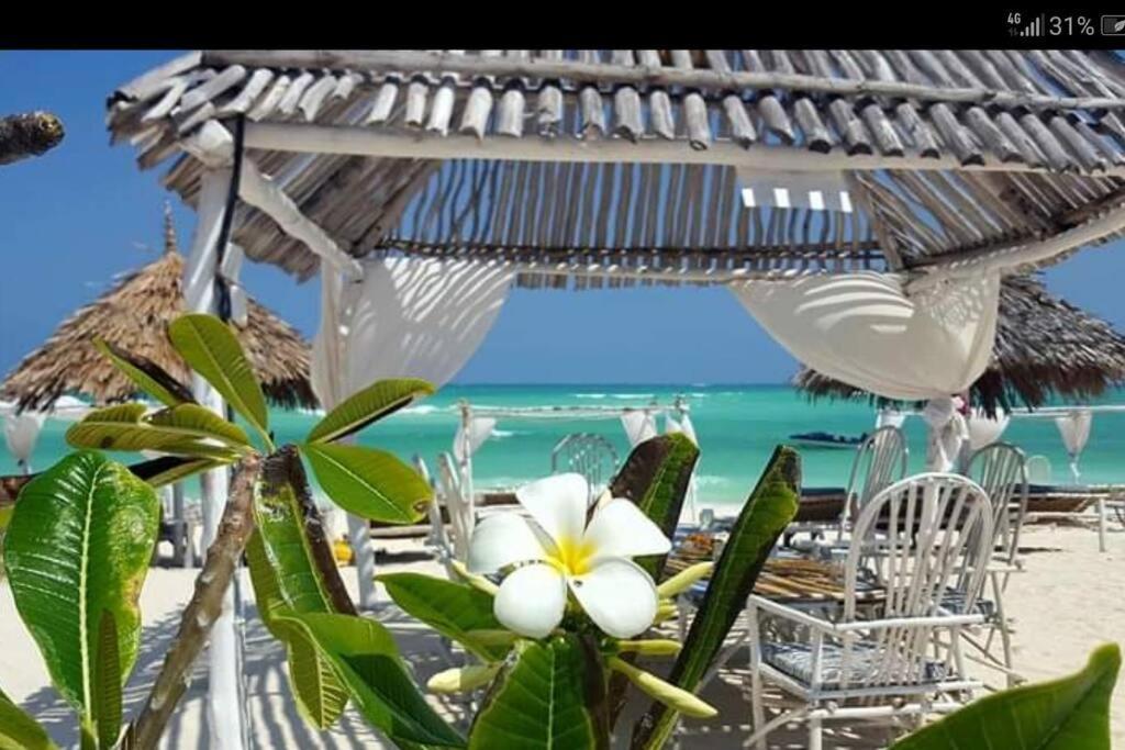 Luxury Simba House In Watamu ☆☆☆☆☆ Apartment ภายนอก รูปภาพ